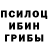 Галлюциногенные грибы прущие грибы Arkadiq Kvinzer