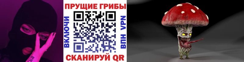 Псилоцибиновые грибы мицелий  блэк спрут ССЫЛКА  Каменск-Уральский 
